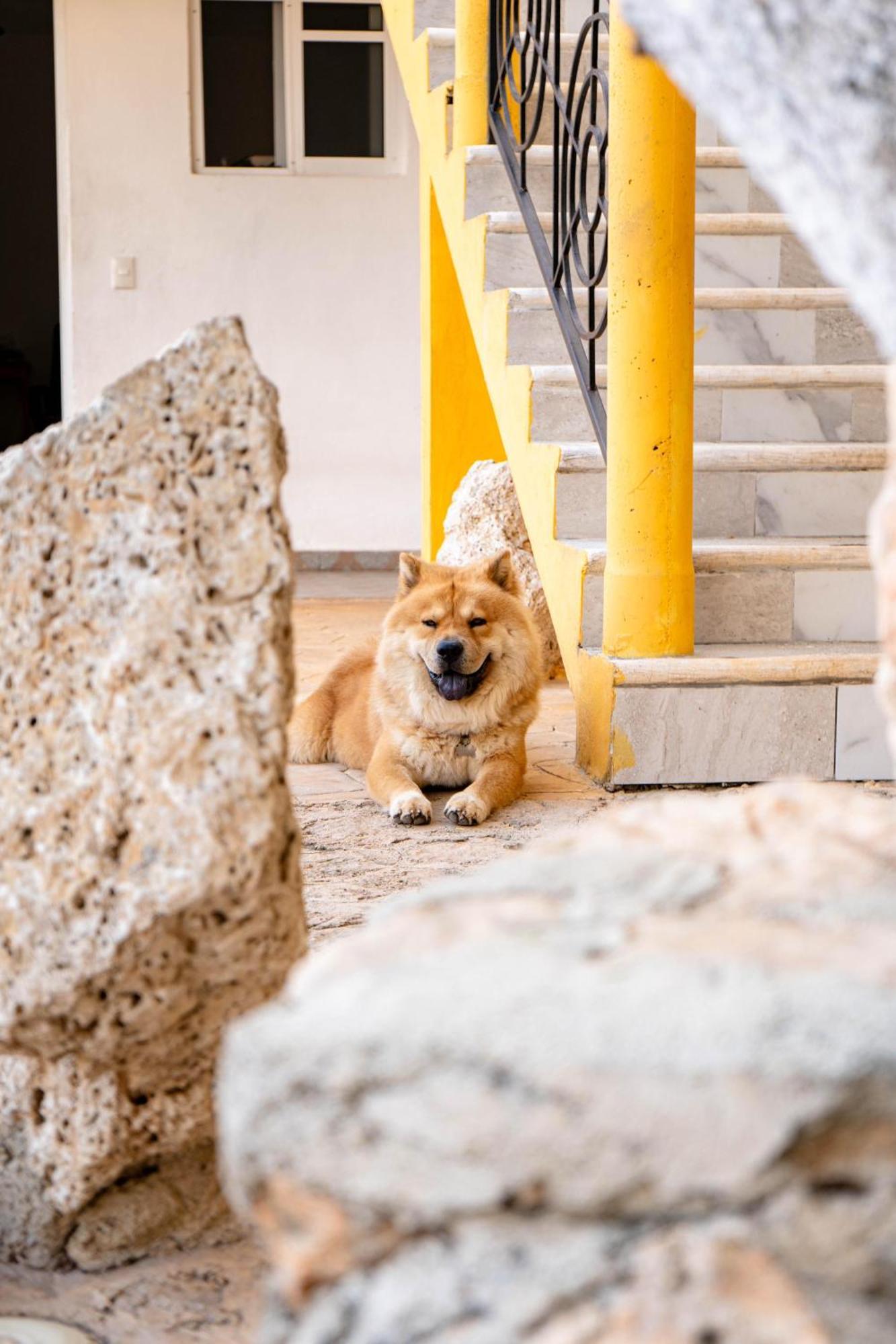 Buenosdías Izamal Exterior foto